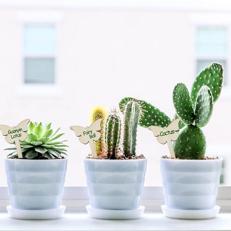 30Pcs /50Pcs Wood Plant Labels Garden Tags with A Marker Pen for Flowers Succulents Decorative Flowers Plant Sign Garden Markers