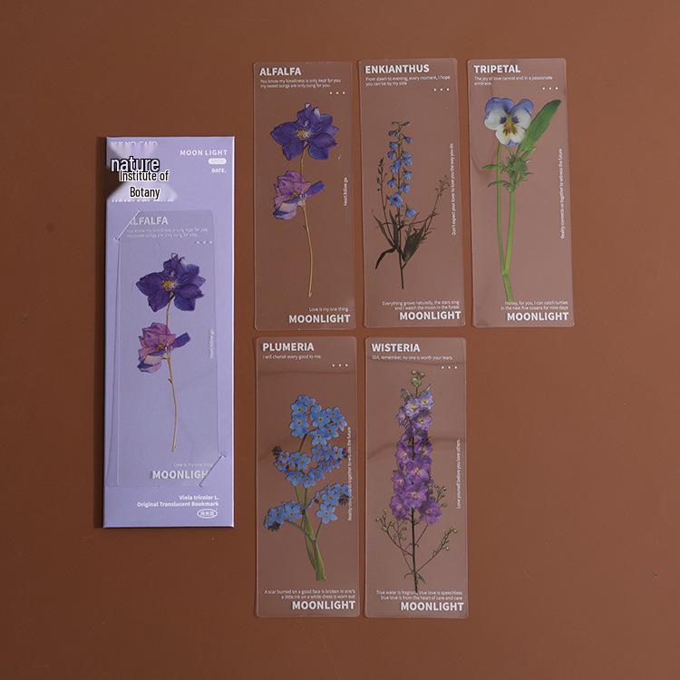 Momo Dried Flower Bookmark Set: 6 Translucent PET Designs for Journals & Books