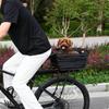 Dog Bike Basket with Metal Frame Secure Universal Fit