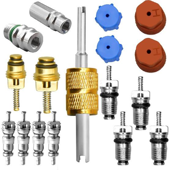 CANIPHA 17 Pcs Air Conditioning Valve Core Kit, R12 to R134a Conversion Kit R134a Valve Core A/C Refrigeration System, AC Valve Kit AC Valve Core