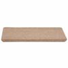 VidaXL Tapis d'escalier auto-adhésifs 15 pcs 65x24,5x3,5 cm Beige 343476