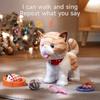 OR OR TU Walking Talking Toy Cat with Remote Control Leash, Plush Pet Electronic Interactive Toys for Kids, Wag Tail, Singing, Pretend Dress Up