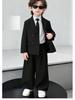 Boys' Spring Casual Suit Set - Formal Page Boy & Piano Performance Wear