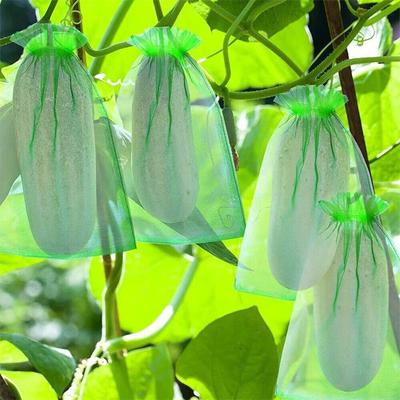 30Pcs Green Netting Fruit Grow Bags Vegetable Plant Fruit Protection Bags For Pest Control Anti-Bird Garden Tools