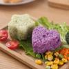 Cartoon Shape Sushi Rice Ball Mold Japanese Pressed Rice Ball Mold DIY Tool Lunch Kitchen Gadget Accessories