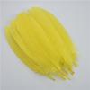 20Pcs Colorful Hard Stick Goose Feather 6-8inch/15-20cm Natural Swan Crafts Plumes  Table Centerpieces Feathers for Decoration