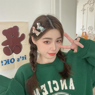 Cute Cartoon Acrylic Puppy Hairpin Combination Girl Hearthairpin Bangs Clip Children Bangs Clip Hair Accessories