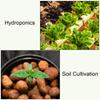 Hydroponic Net Cover - Reusable UV-resistant Mesh Cup with Groove Design Suitable for Elevated Garden Cloners and Pneumatic Systems