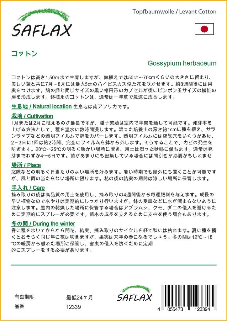SAFLAX Levant Bavlna - 12 semen - Gossypium herbaceum