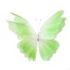 Backdrop For, Large Fake, DIY, Huge 3D Butterflies Flowers, Party Decoration, Crafts, Reception
