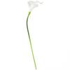 Photography Artificial Flower Washable Xmas Decoration 10pcs Indoor Outdoor