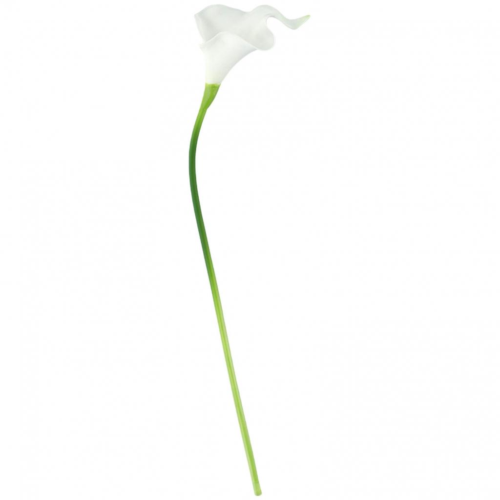 Photography Artificial Flower Washable Xmas Decoration 10pcs Indoor Outdoor
