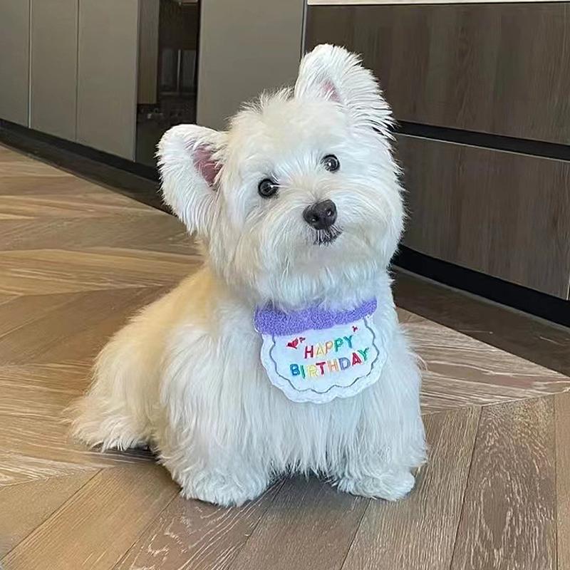 1set Mini Doggy Adjustable Bandana Scarf Lovely Pet Cat Dog Birth Bib and Party Hat Birthday Outfit Puppy Birthday Party Supply