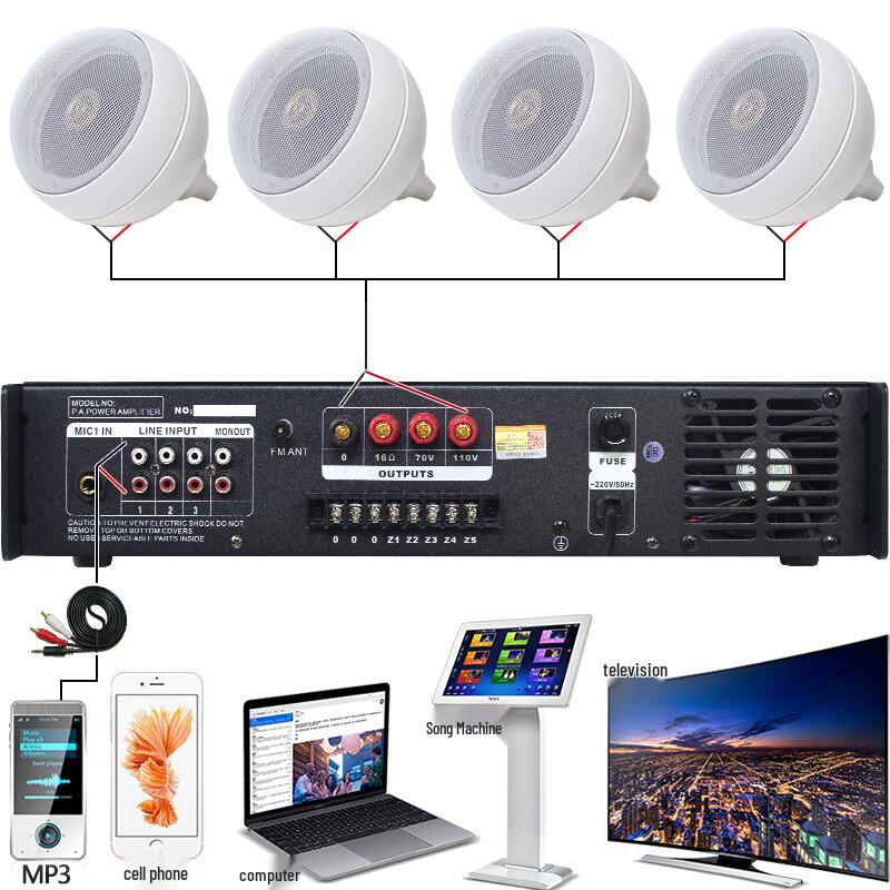 Lingsheng Commercial Ceiling & Hanging Speaker System (CN version)