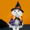 Pumpkin/Ghost Cat Wizard Hat Cloak Set Adjustable Halloween Cat Cape  for Dogs Cats
