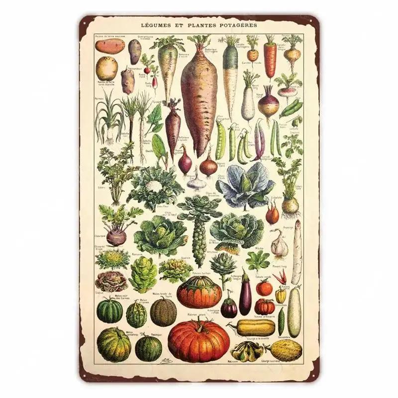 Retro Vegetable Plants Poster Vintage Fruits Metal Tin Sign Cauliflower Wall Art Sign Garden Kitchen Farm Flowers Plate Decor