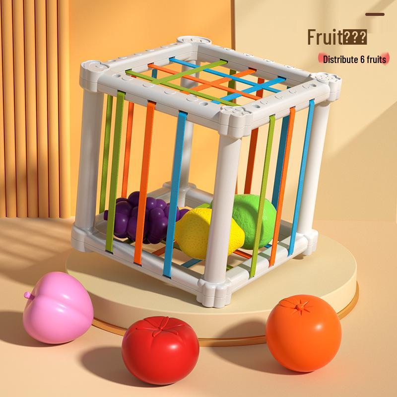 

Rainbow Fruit Shape Cognition Toy for Infant Fine Motor Training