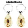 Key Holder Scorpion Amber Pendant Noctilucent Handbag Wallet Pendant Creative Scorpion Keychain Car Keyring Auto Accessories