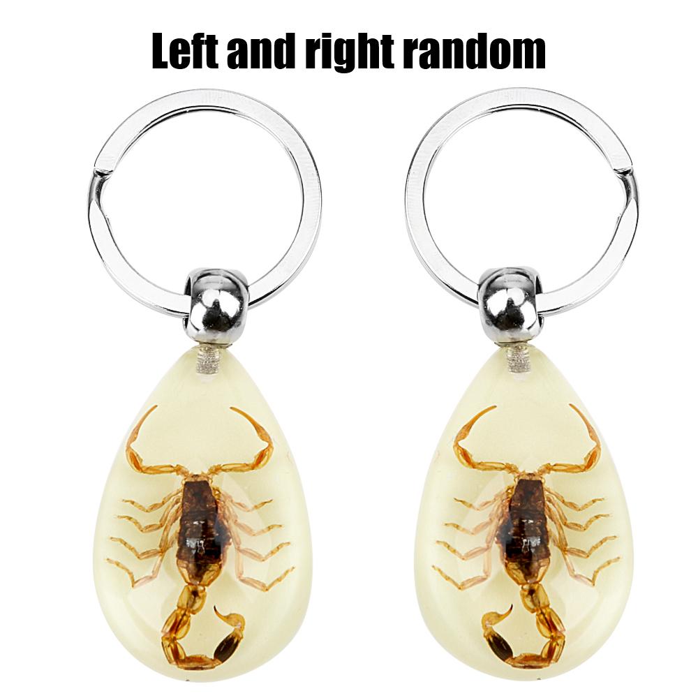 Key Holder Scorpion Amber Pendant Noctilucent Handbag Wallet Pendant Creative Scorpion Keychain Car Keyring Auto Accessories
