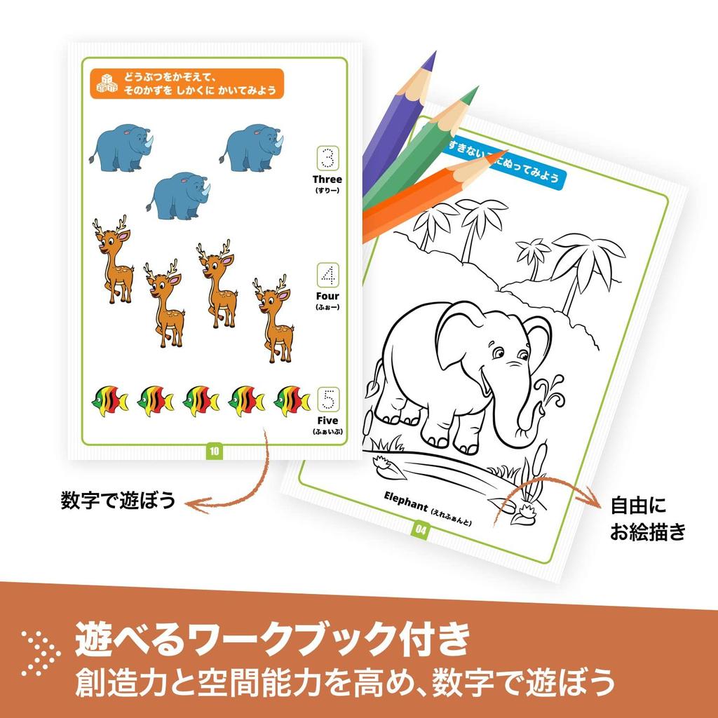 Engino Engineering Blocks Make and About Wild Animals Assembly Toys Educational Toys for Ages 3 and Up STEAM Toys You Can Make 5 Wild Animals