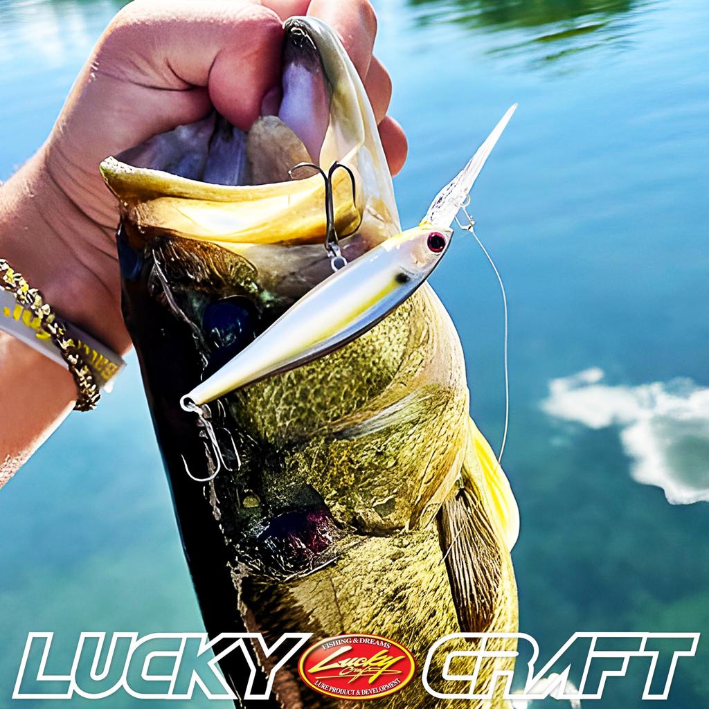 Lucky Craft USA Pointer 78XD Ghost Fishing Lure ~X Diver~ (238 Minnow) [Used]