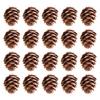 20Pcs Artificial Pine Cone Attractive for Garden Convenient Decorative DIY Simulation Pinecone Novel Vivid Natural
