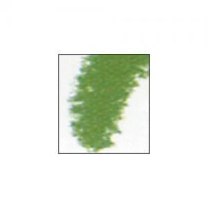 Sennelier Verde Pastel Bosque 915