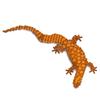 Build Realistic Animal Objects with This Block Looks Just Like the Real Spiny Monitor X Sturdy Blocks Secured with For 3D Fall Interior JEKCA Enver