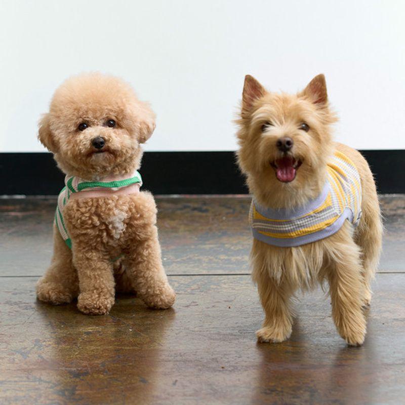 MUNIKUND Elee One Hole Crop - Yellow