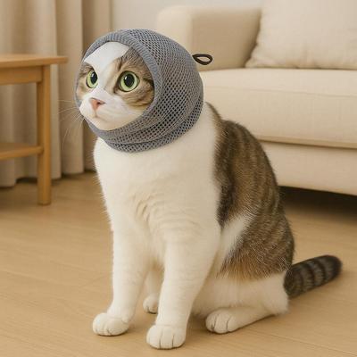 Andningsbart Nät Katt-Halsband & Nosgrimma - Anti-Stress Husdjurstillbehör