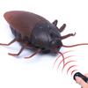 Remote Control Cockroach Toy Electric Simulation Cockroach Animal Model New Peculiar Prank Toy