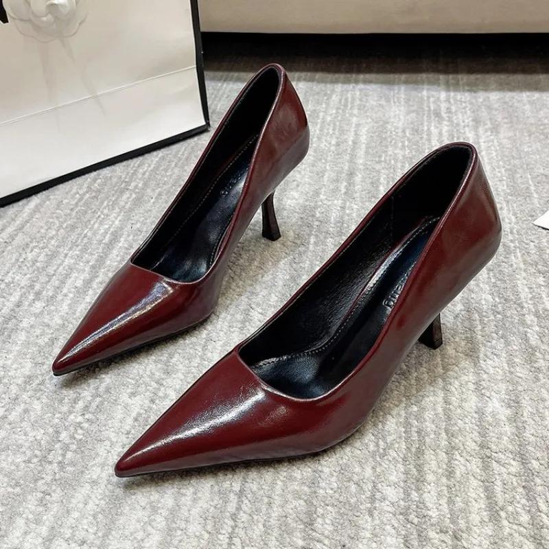 Women's High Heels 2025 Spring New Style French Luxury Shallow Mouth Single Shoes Fashion Pointed Stiletto High Heels