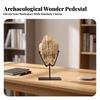 Decor Sculptural Fossil Style Desk Ornament for Art Collectors