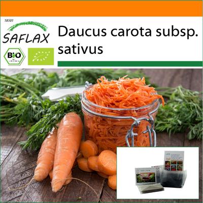Garden In the Bag - Organic - Carrot - Autumn King - 1000 Seeds - With Substrate In a Fitting Stand Up Bag - Daucus Carota