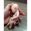 5" Mini Realistic Life Reborn Elf Doll,Lifelike Mini Reborn Doll Surprise Children Anti-Stress Relief with Feeding Accessories