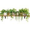 3D Green Hanging Plants Wall Sticker Wall Decals Removable Potted Greenery Bedroom Living Room Home Decoration