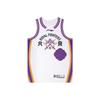 Li Ning CBA Series Quick-Dry Breathable Professional Training Competition Basketball Jersey Fan Edition 25-26 Season Unisex Jersey AAYV495-1