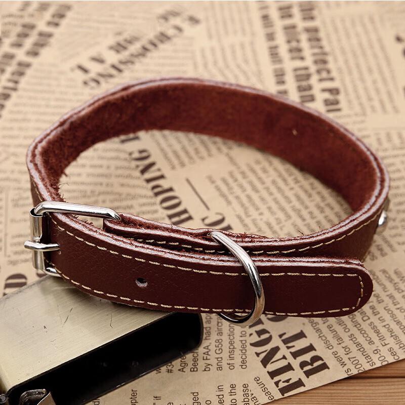 Thickened Nylon Dog Training Collar