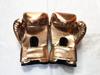 Sagitar Children's Boxing Gloves with Metal Film and Sponge Foam Liner for Sanda and Punching Bags.