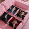 American Actor D-Dylan O Brien Pillow Case Anti-Dustmite Pillow Invisible Zipper Silky Short Plush Sofa Cushion Cover