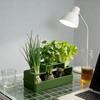 Ventilated Lettuce Planting Pot Plastic Vegetable Growing Plate  Repeated Growth
