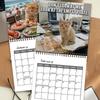 12-Month Cat Theme Monthly Calendar Thick Paper Wall Hanging Calendar  Living Room