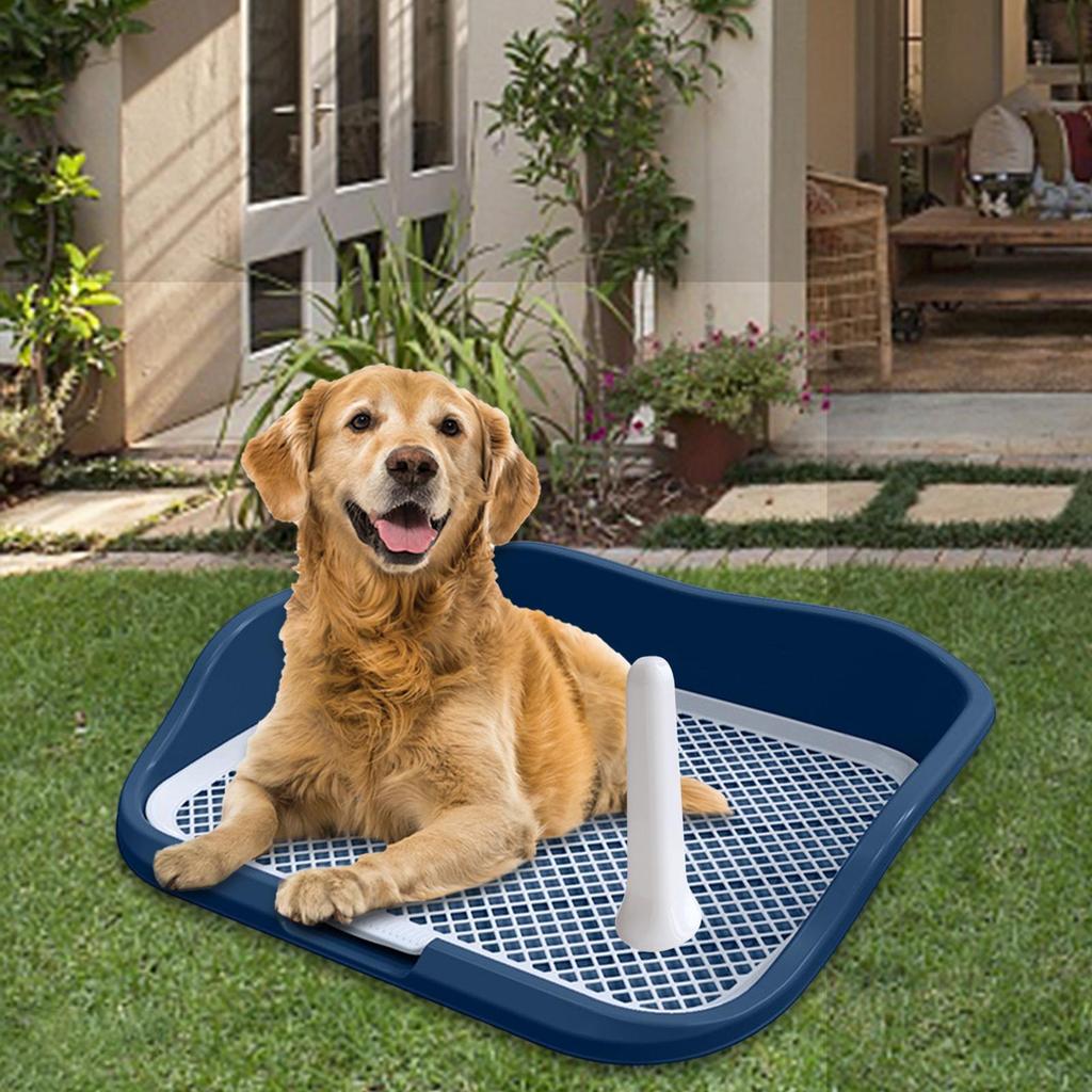 Mesh Dog Toilet *Litter Tray Pee Training Protection with Wall Small Urinal for