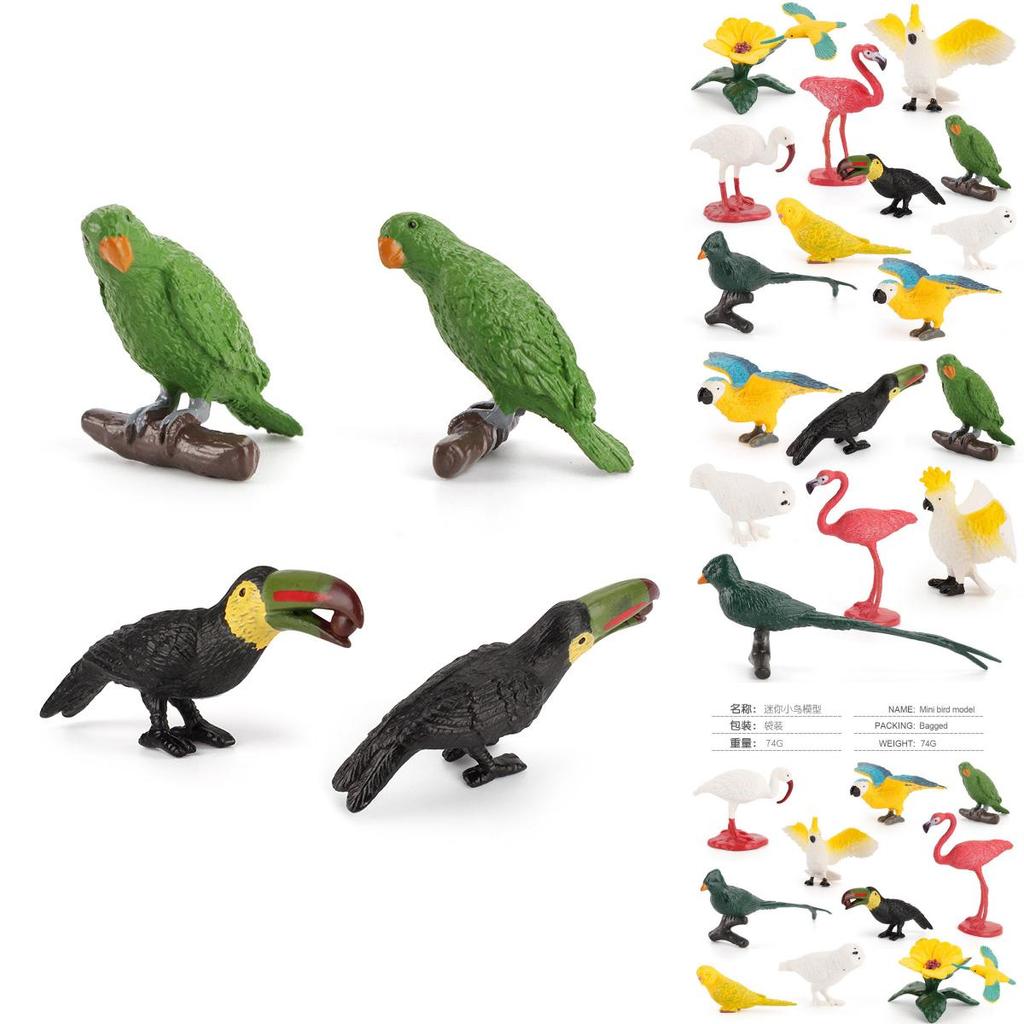 Kids Wild Bird Replica Pvc Educational Toy For Science Projects And Gift