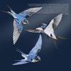 1Pair Blue Swallow Embroidery Patch Multi-Pose Symmetrical Design Iron On Applique For Clothing Hole Repair