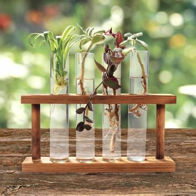 Creative Retro Transparent Test Tube Vase Water Planting Holder Wooden Frame Vase Office Desktop Decoration Home Decoration