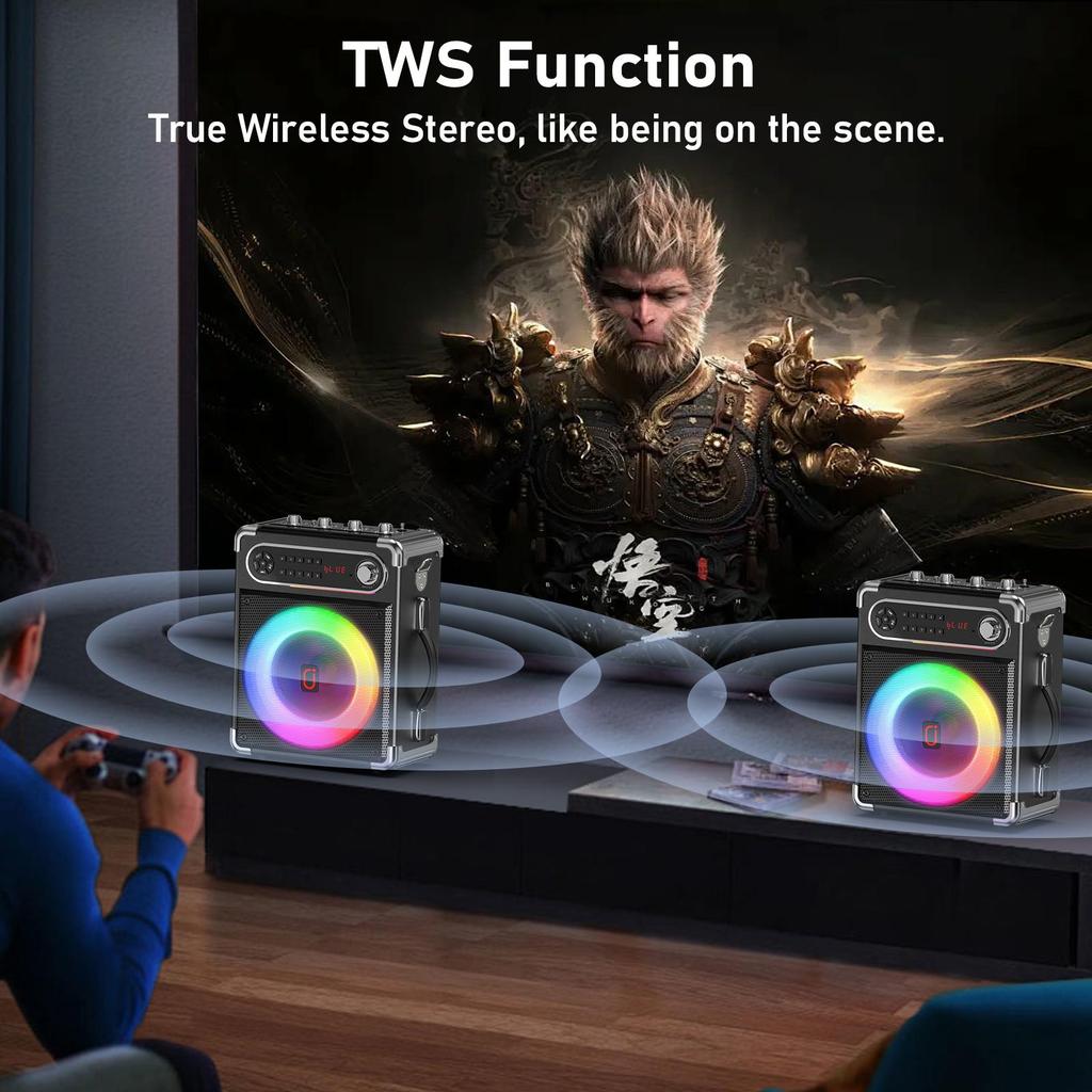 Karaoke-Maschine mit zwei drahtlosen Mikrofonen, tragbarer Bluetooth-Lautsprecher mit Bass-/Höhenregelung, PA-System mit Fernbedienung