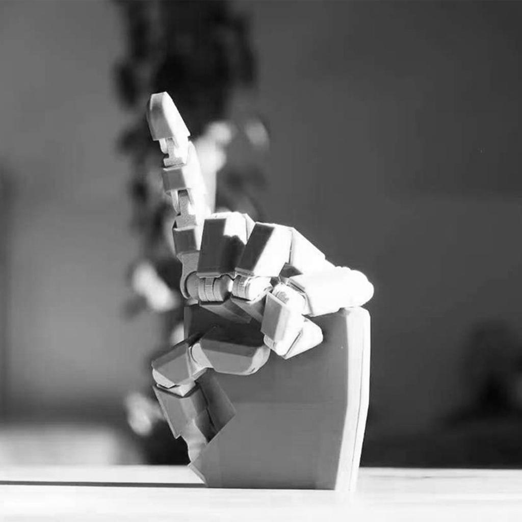 3D Printed  Finger Ornaments, Multi Joint Movable Model Popular Art Craft Toys