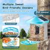 Smart Bird Feeder with Camera 2K HD AI Identify Bird Species Solar-Powered