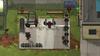 Back To the Dawn the Animal LIMITED EDITION Switch ~Break Prison~ -